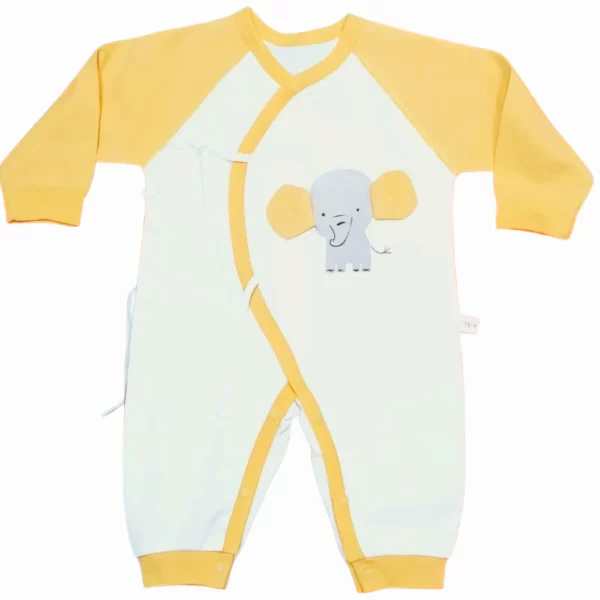 body bébé 3mois petit dumbo - monagestock.com