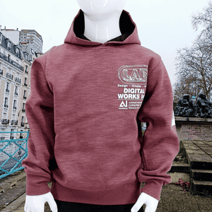 Sweat à capuche pour garçon - Digital Works Inc.  (1, 2, 3, 4 ans)