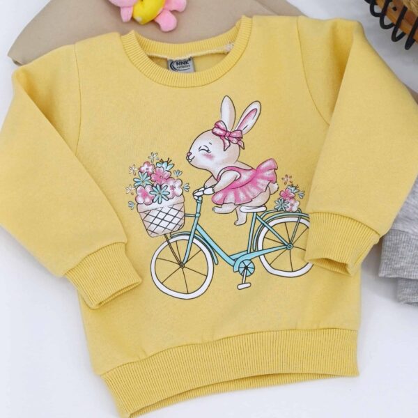 Ensemble pull en molleton avec motif de lapin et pantalon gris pour enfants de 1 à 4 ans. Parfait pour l'hiver grâce à son intérieur douillet.